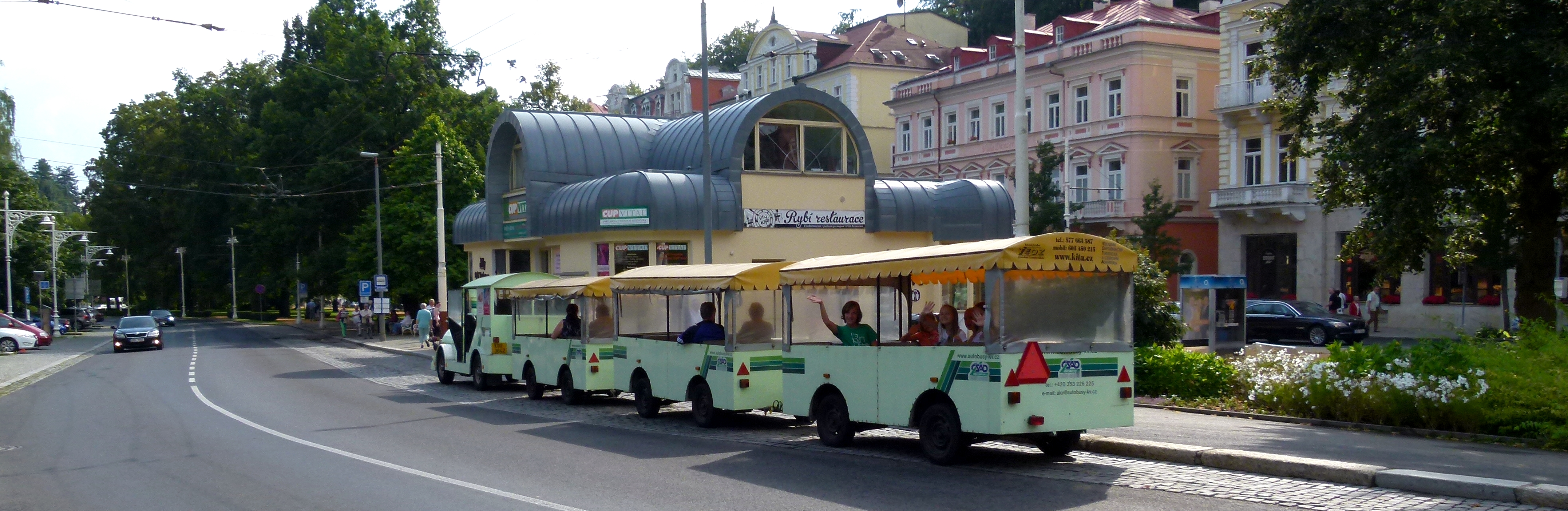 Tourist Mini Train